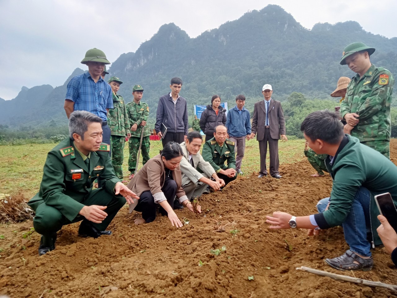 Quảng Bình: Hỗ trợ đồng bào xã biên giới phát triển kinh tế từ cây gai xanh -0