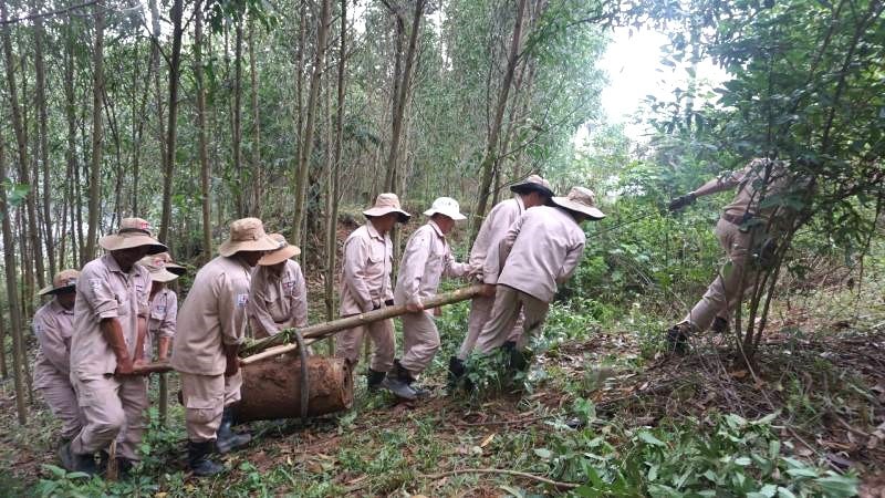 Quảng Bình: Phát hiện nhiều quả bom trong khu dân cư, có quả cách trường học 500m -0