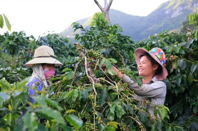 Tăng năng suất, tiết kiệm chi phí nhờ bón phân hợp lý -0