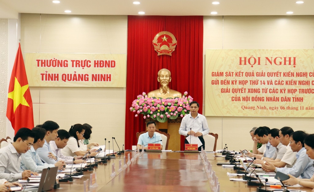Phó Chủ tịch UBND tỉnh Vũ Văn Diện phát biểu tại Hội nghị giám sát kết quả giải quyết kiến nghị cử tri do Thường trực HĐND tỉnh tổ chức - ảnh Q.M.G