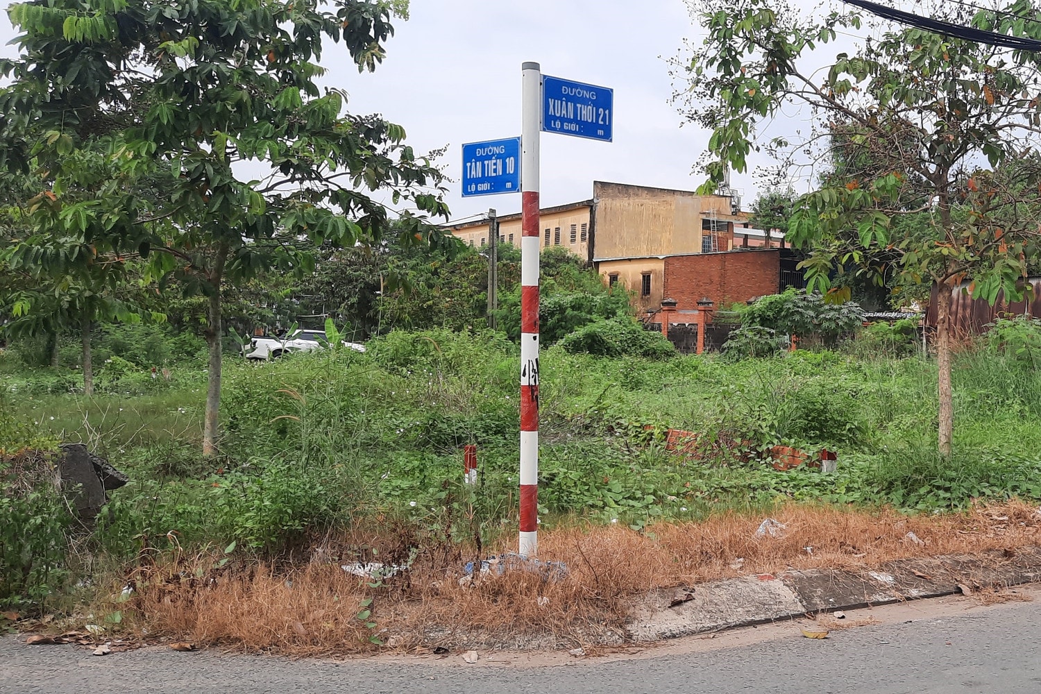TP. Hồ Chí Minh: Nhiều người mua đất tại huyện Hóc Môn nhưng sổ đỏ được cấp cho người khác -0