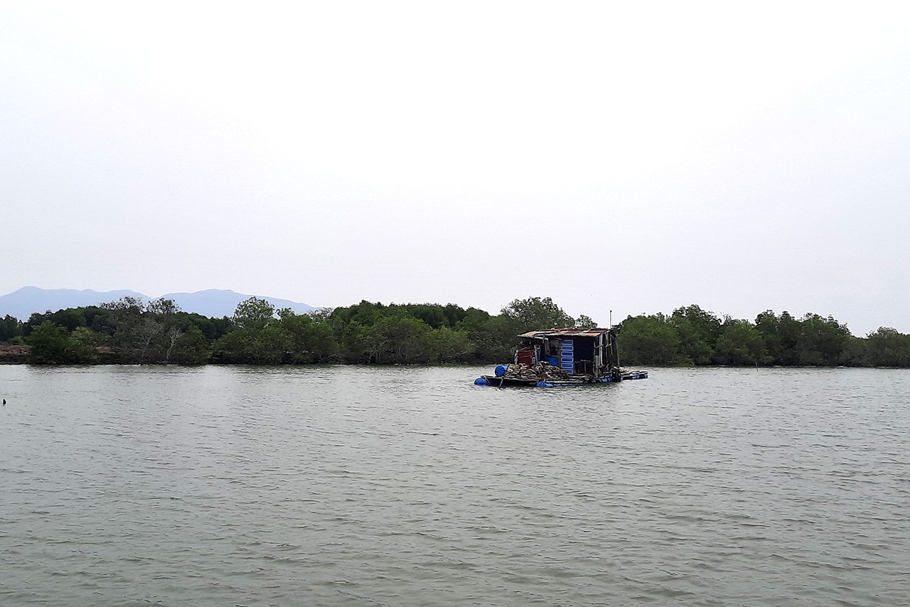 Bà Rịa – Vũng Tàu: Sau 13 được giao đất, dự án Trung tâm Tiếp nhận phân phối Container Cái Mép vẫn hoang sơ
