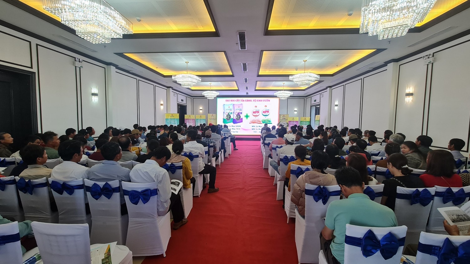 Giải pháp dinh dưỡng hiệu quả cho cây cà phê mùa khô khu vực Tây Nguyên -0