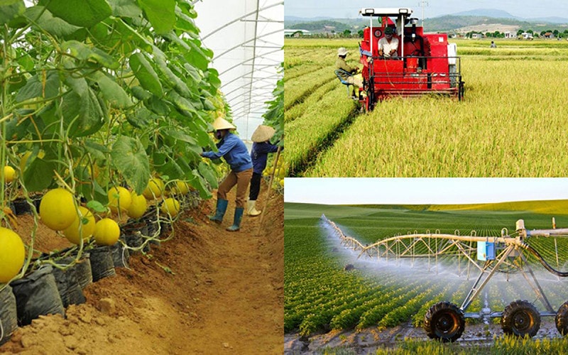 Để kinh tế tập thể mạnh về chất, vững về lượng -0