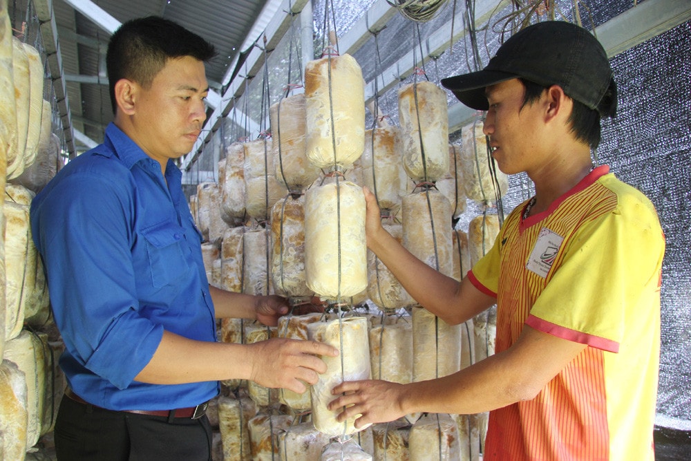 Tiết kiệm nhỏ, lợi ích lớn -0