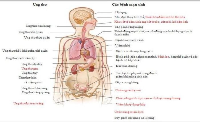Hướng dẫn lồng ghép giảng dạy về phòng chống tác hại của thuốc lá -0