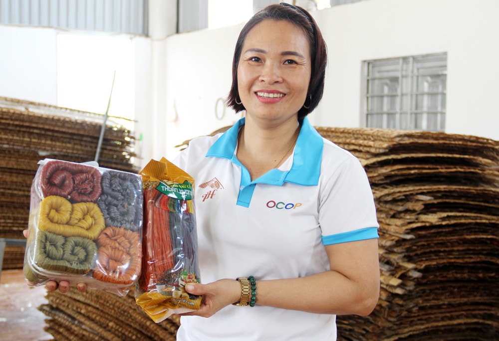 Đưa hợp tác xã nông nghiệp trở thành mô hình kinh tế - xã hội quan trọng -0