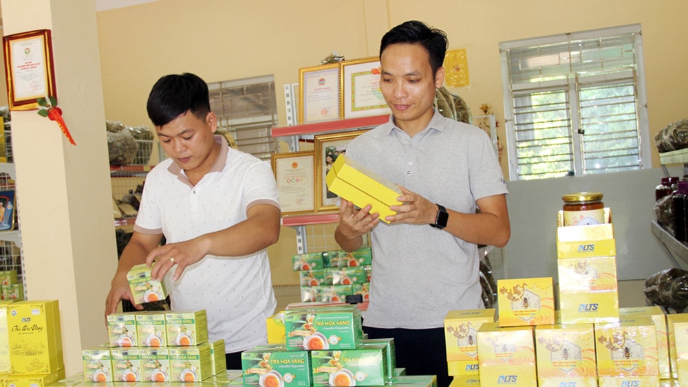 Đưa hợp tác xã nông nghiệp trở thành mô hình kinh tế - xã hội quan trọng -0