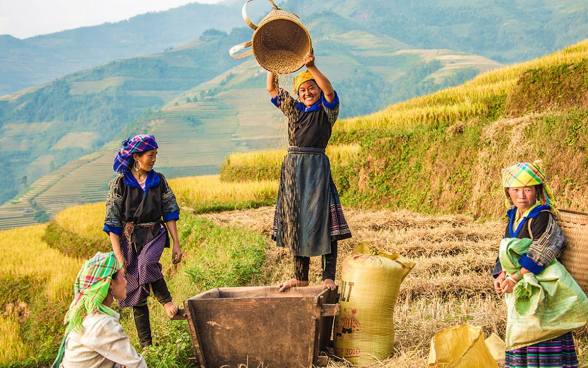 Phát triển hợp tác xã, liên hiệp hợp tác xã góp phần giảm nghèo bền vững -0