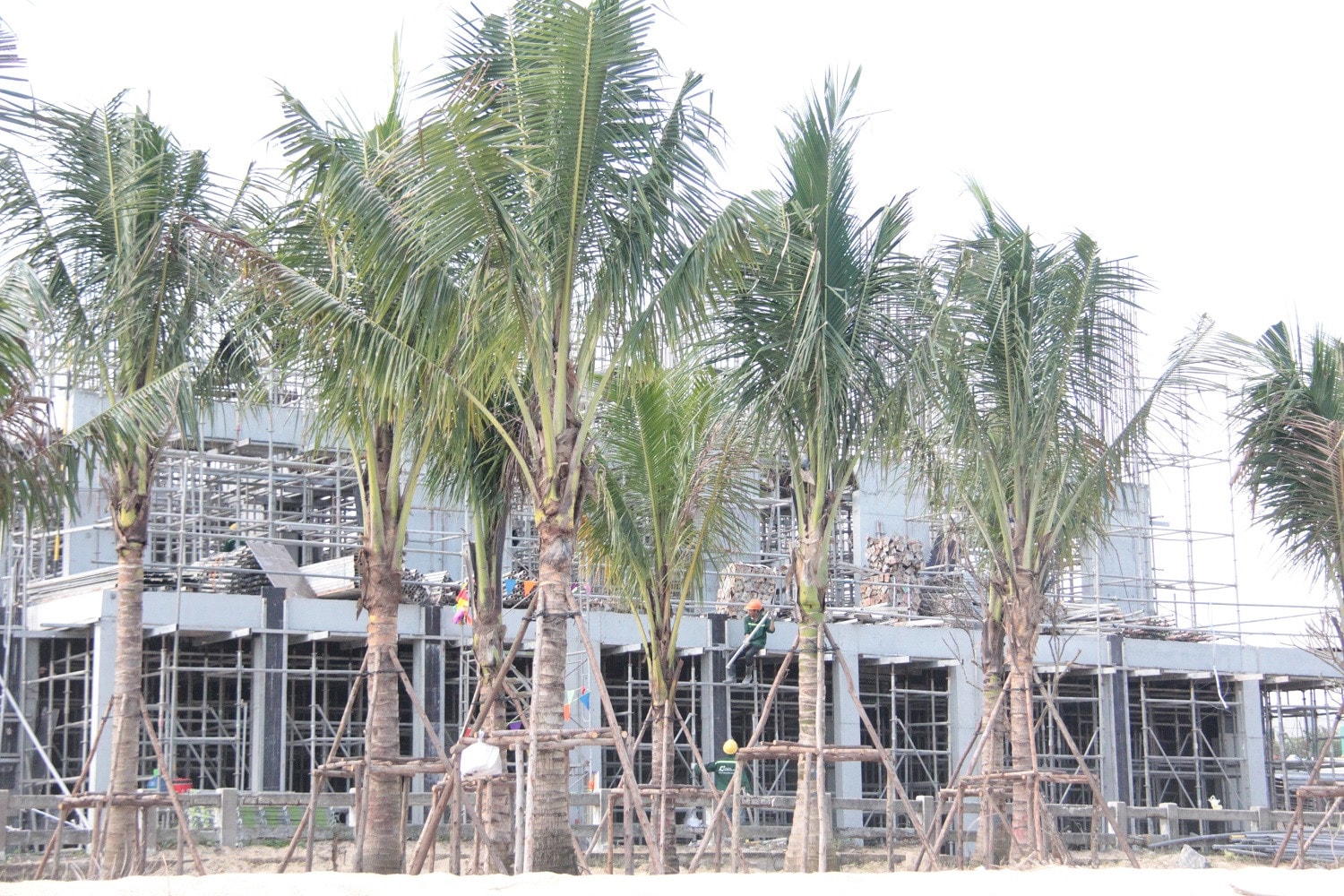 Những khối bê-tông sát biển dần hình thành Dự án của Tập đoàn Trung Thủy ở Đà Nẵng đang triển khai ra sao? -0