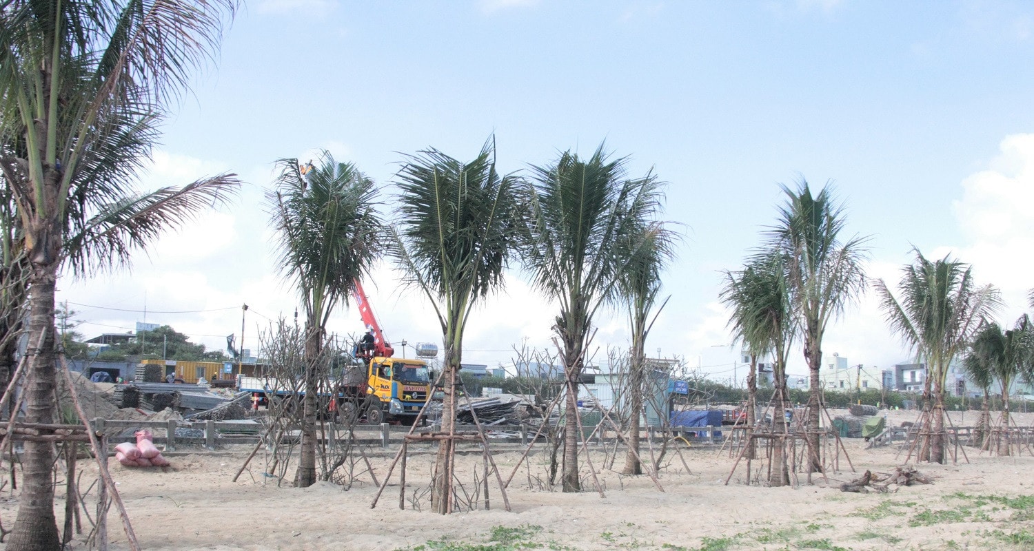 Máy móc, công nhân thi công bên trong dự án Dự án của Tập đoàn Trung Thủy ở Đà Nẵng đang triển khai ra sao? -0