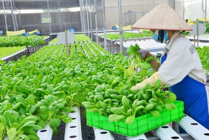 Hà Nam chú trọng xây dựng các HTX kiểu mới -0