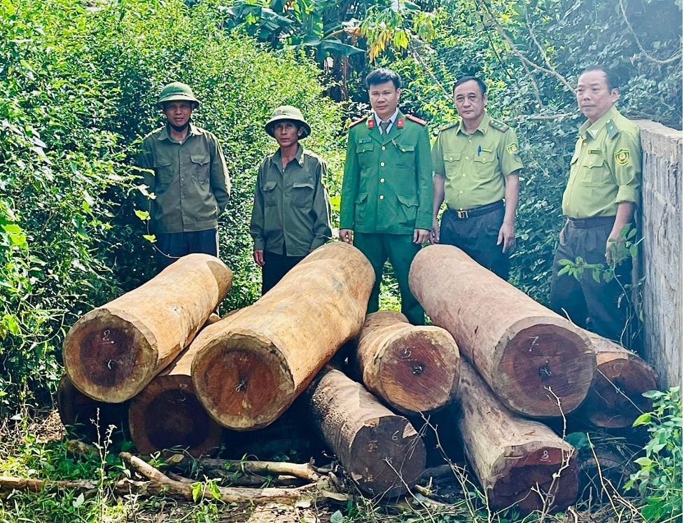 Quảng Bình: Liên tiếp phát hiện, bắt giữ các đối tượng vận chuyển gỗ trái phép -0