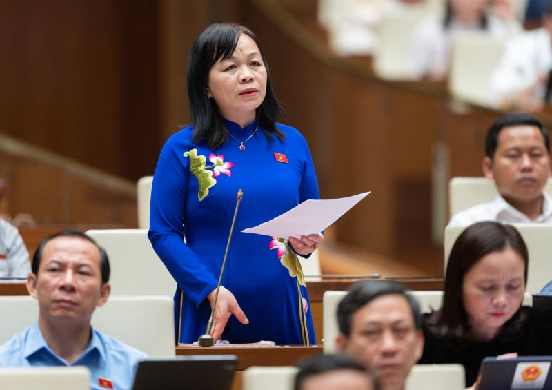 Phó Chủ nhiệm Uỷ ban Văn hoá, Giáo dục Nguyễn Thị Mai Hoa