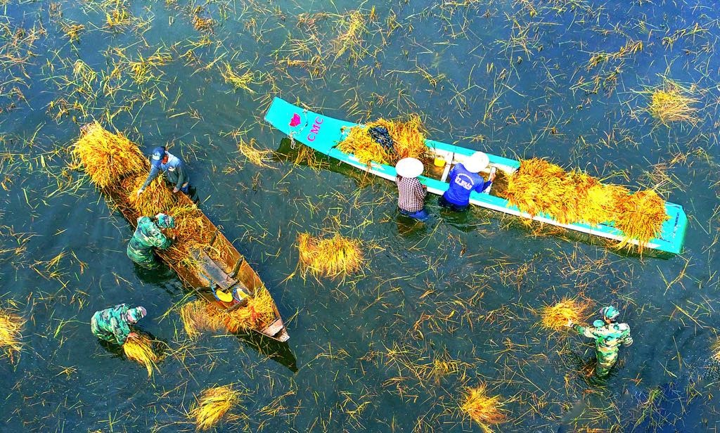 Triển lãm “Quân với dân một ý chí” -0
