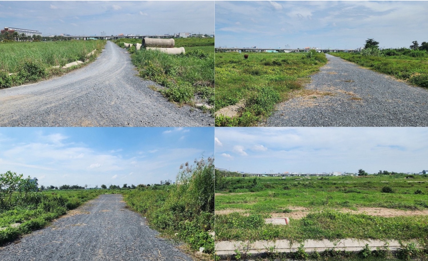 Long An: Sở Xây dựng đề nghị xử lý hành vi phân lô, bán nền trái phép tại dự án The Sol City
