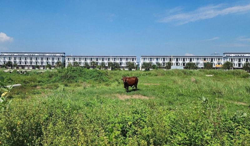 Long An: Sở Xây dựng đề nghị xử lý hành vi phân lô, bán nền trái phép tại dự án The Sol City