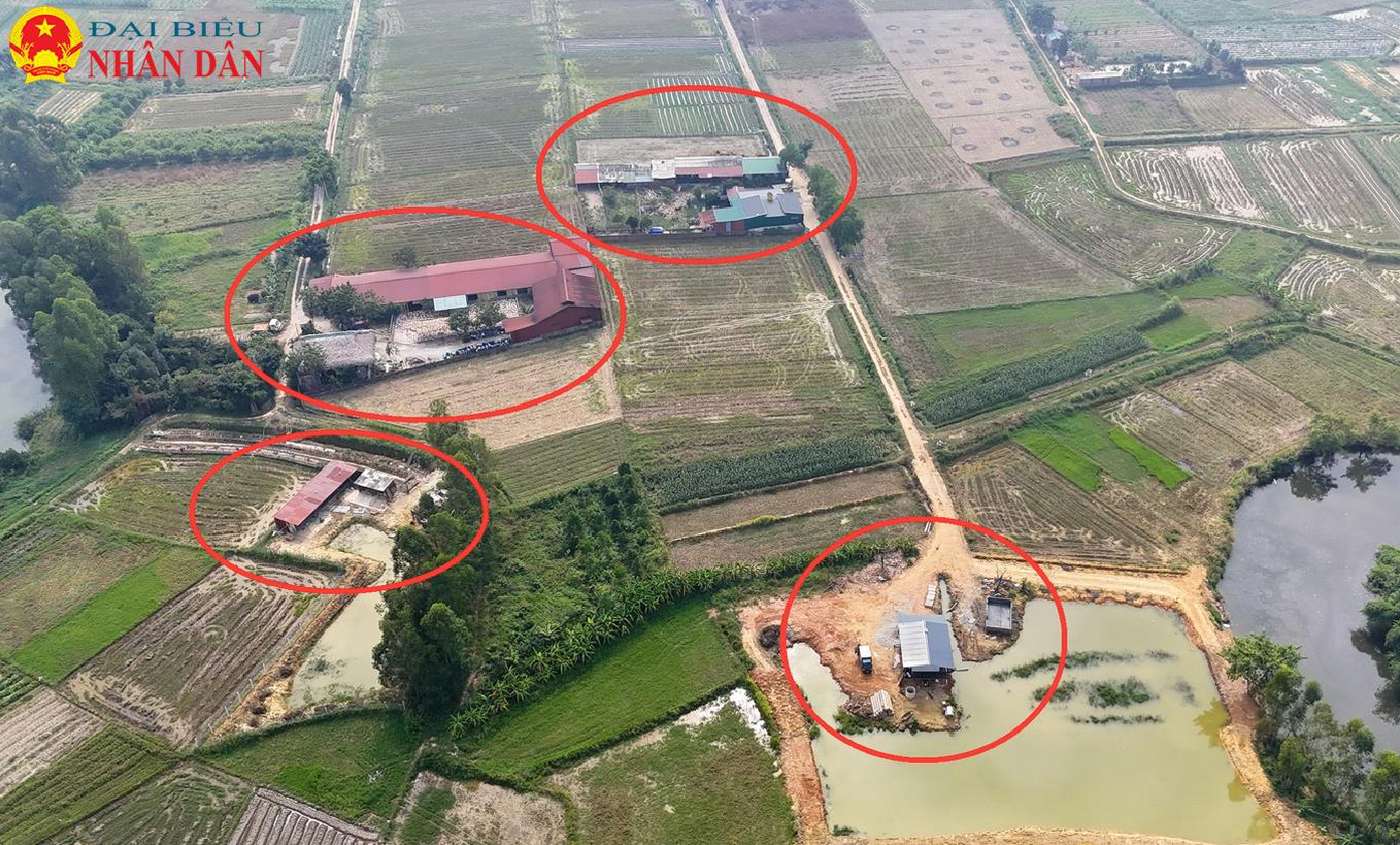 Hà Nội: UBND huyện Sóc Sơn xử lý kỷ luật đối với 11 cá nhân sau khi kiểm tra dấu hiệu vi phạm tại xã Minh Trí -0