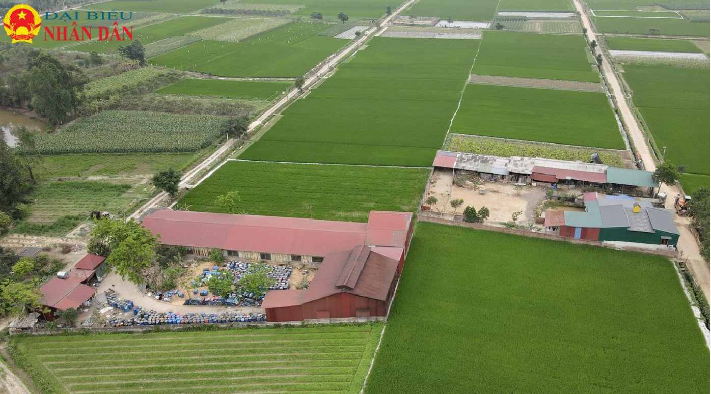 Hà Nội: UBND huyện Sóc Sơn xử lý kỷ luật đối với 11 cá nhân sau khi kiểm tra dấu hiệu vi phạm tại xã Minh Trí -0