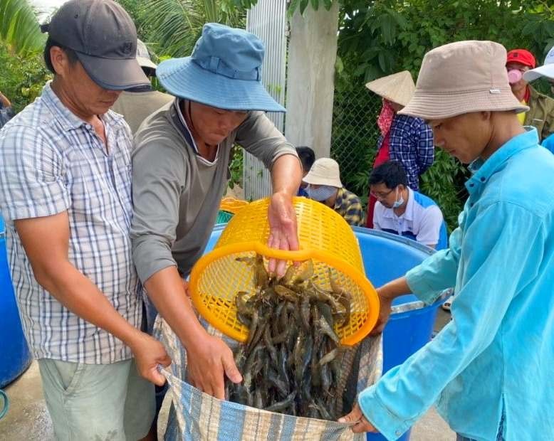 Quy hoạch tỉnh Bạc Liêu với tiềm năng khác biệt -0