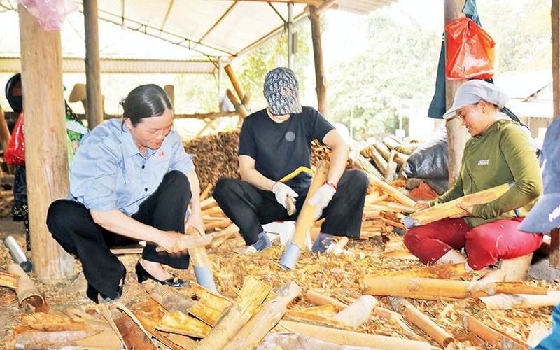 Nông dân vùng cao Lào Cai đoàn kết, tự cường -0