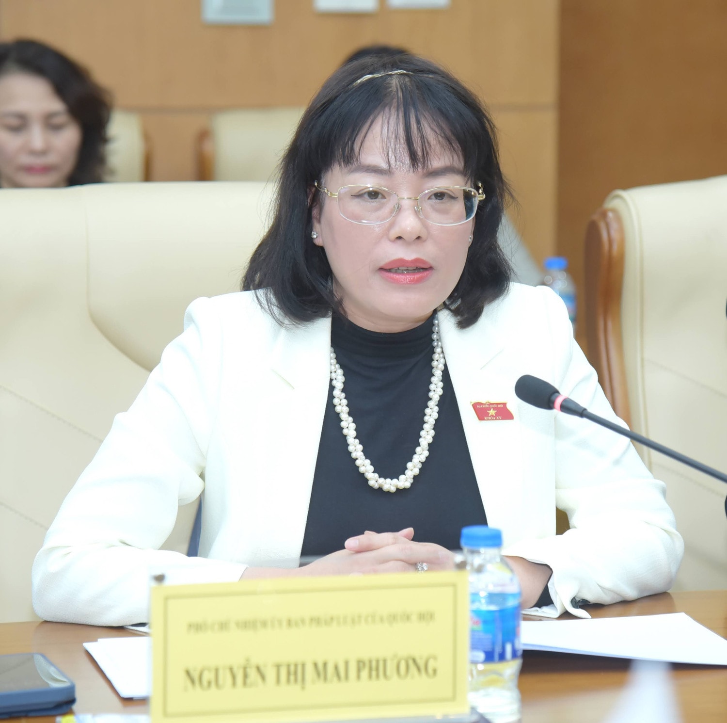 Đã đến lúc áp dụng mô hình thuế hỗn hợp ảnh 2 Đã đến lúc áp dụng mô hình thuế hỗn hợp