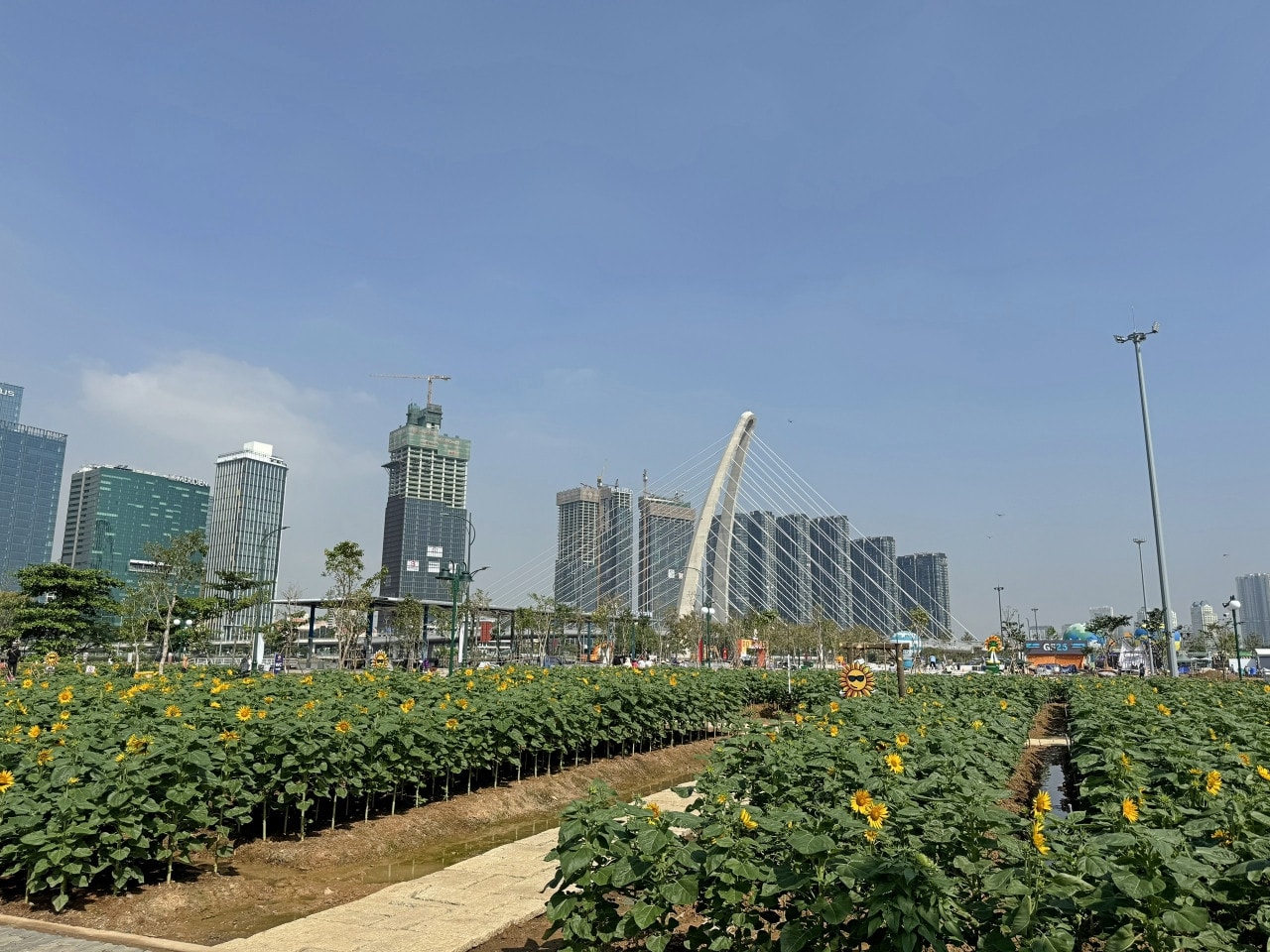 TP. Hồ Chí Minh rực rỡ trước thềm năm mới 2024 -0