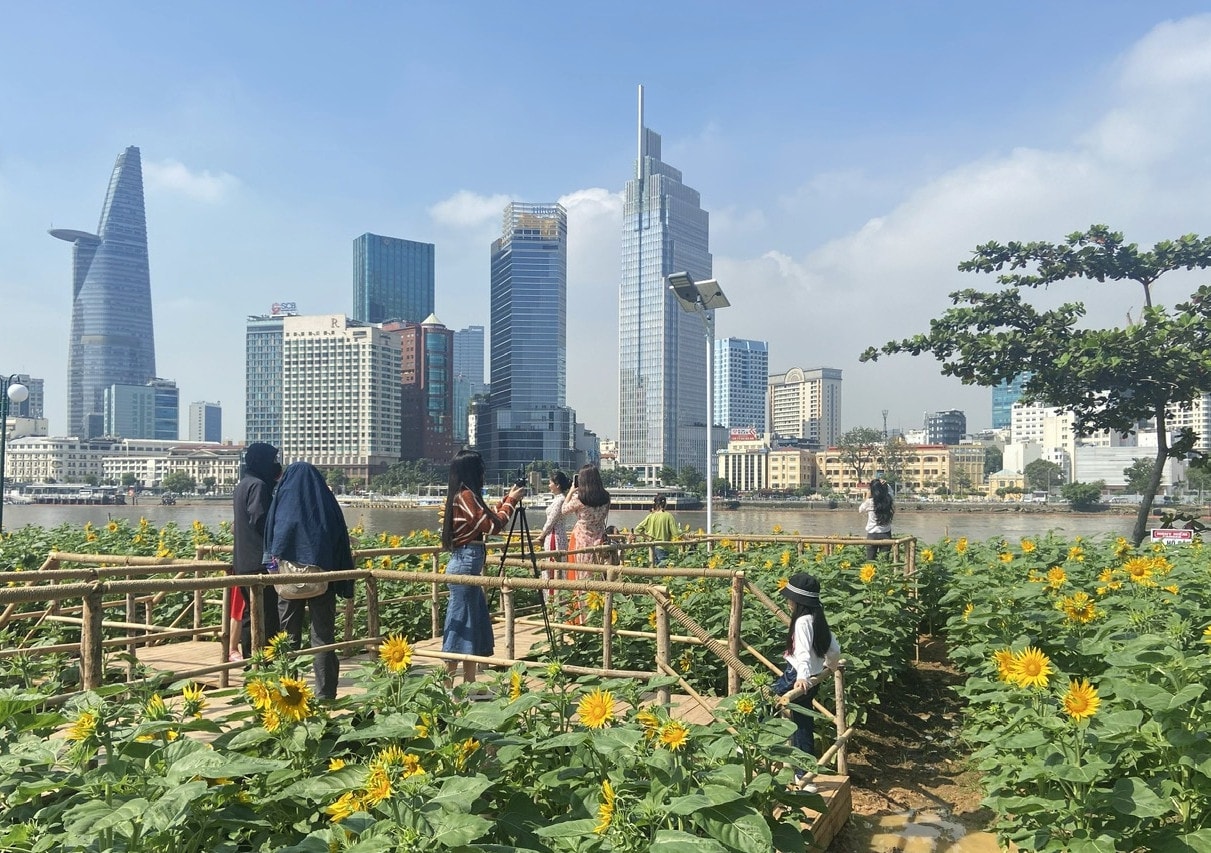 TP. Hồ Chí Minh rực rỡ trước thềm năm mới 2024 -0