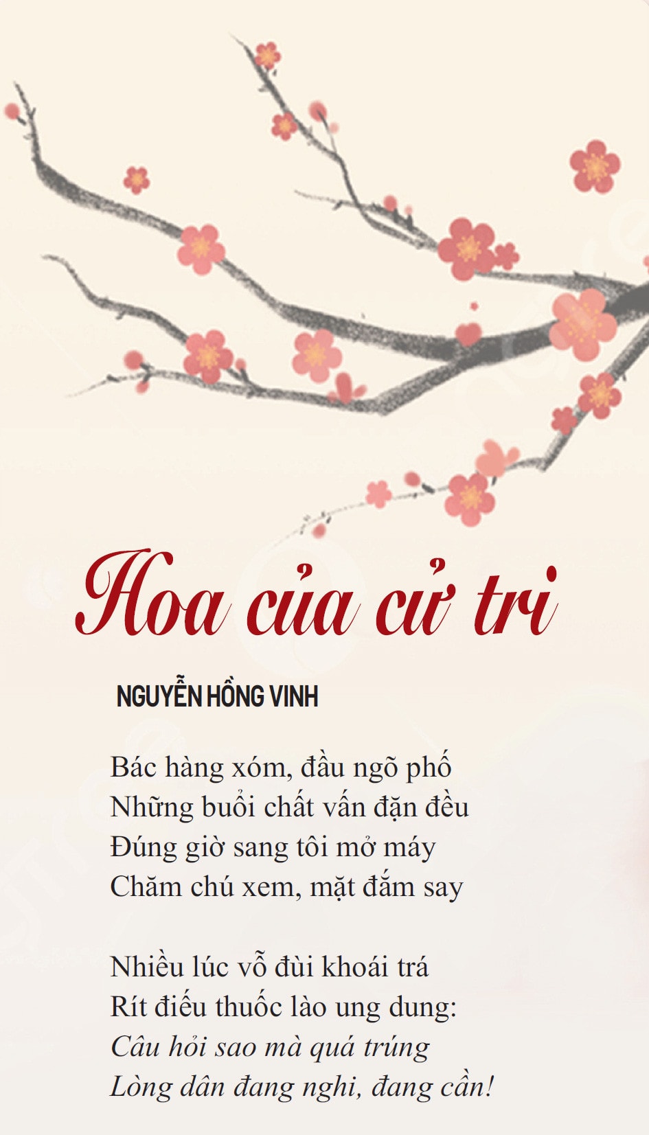 HOA CỦA CỬ TRI -1