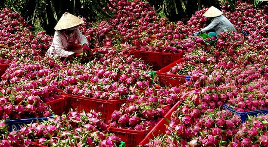 Năm 2030 phấn đấu xuất khẩu nông sản đạt trên 26 tỷ USD -0