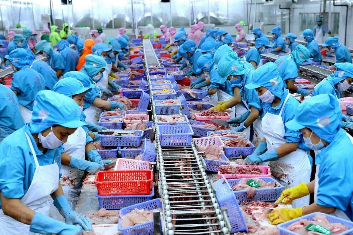 TP. Hồ Chí Minh tăng cường các hoạt động kết nối và hỗ trợ phát triển các doanh nghiệp ngành chế biến lương thực thực phẩm. (INT)