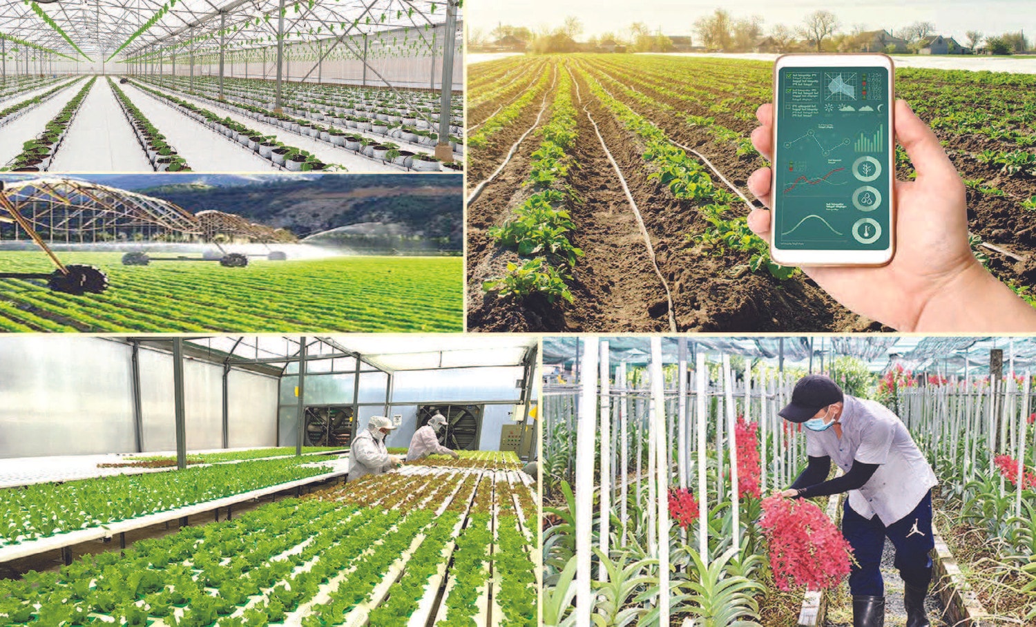 Nông nghiệp duy trì tăng trưởng cao nhờ khoa học công nghệ -0