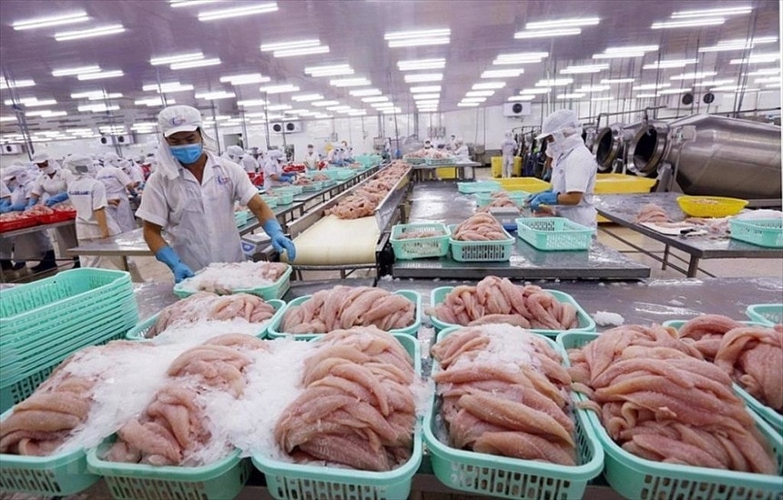 Năm 2024 - Nhiều thách thức khiến xuất khẩu thủy sản chậm phục hồi -0