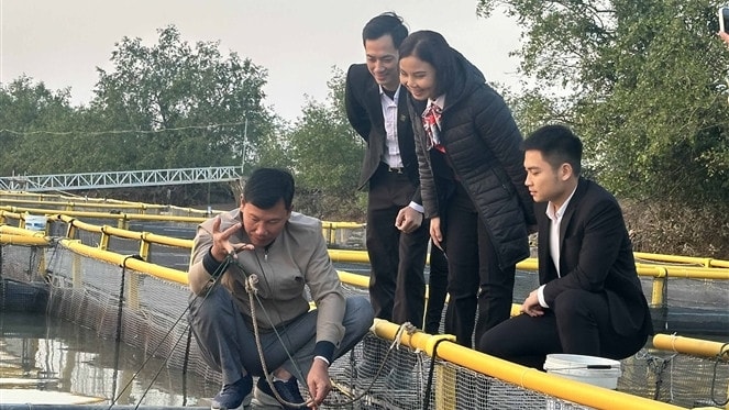 Anh Phạm Văn Nhiêu giới thiệu kỹ thuật nuôi cá Tầm với các cán bộ Agribank Tiên Lãng. Ảnh: Đức Kiên.