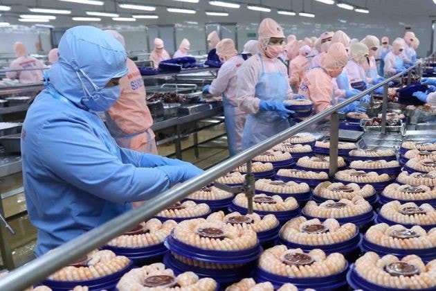 Đồng Tháp: Sau 12 năm giao đất, dự án nhà máy của Công ty Cổ phần Xuất nhập khẩu Bến Tre vẫn là đất trống -0