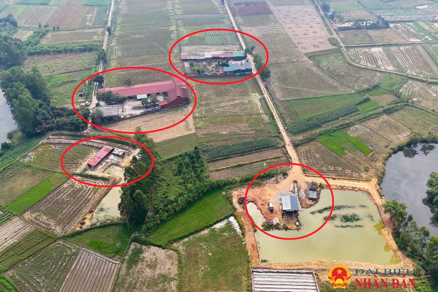 Vụ xây dựng trái phép trên đất nông nghiệp tại xã Minh Trí: Cử tri kêu cứu trang trại nuôi lợn tiếp tục mở rộng gây ô nhiễm môi trường -0