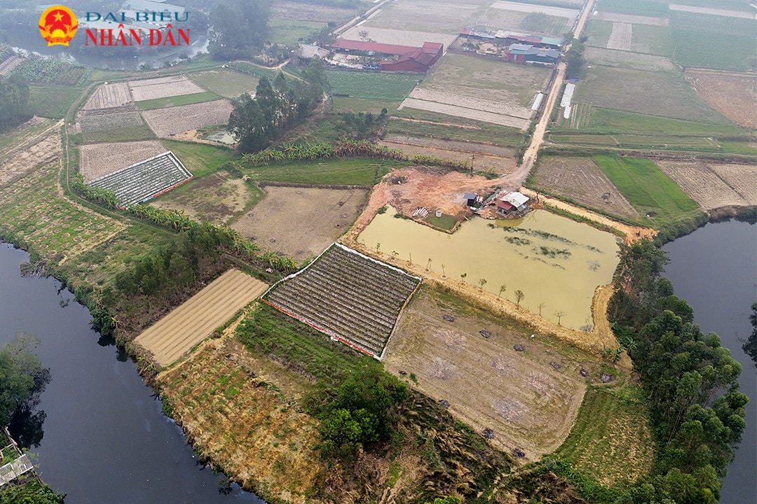 Vụ xây dựng trái phép trên đất nông nghiệp tại xã Minh Trí: Cử tri kêu cứu trang trại nuôi lợn tiếp tục mở rộng gây ô nhiễm môi trường -0