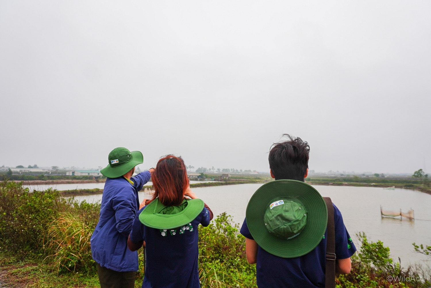 Ninh Bình: Tháo dỡ 2500m lưới bẫy, cứu hộ chim di cư -0