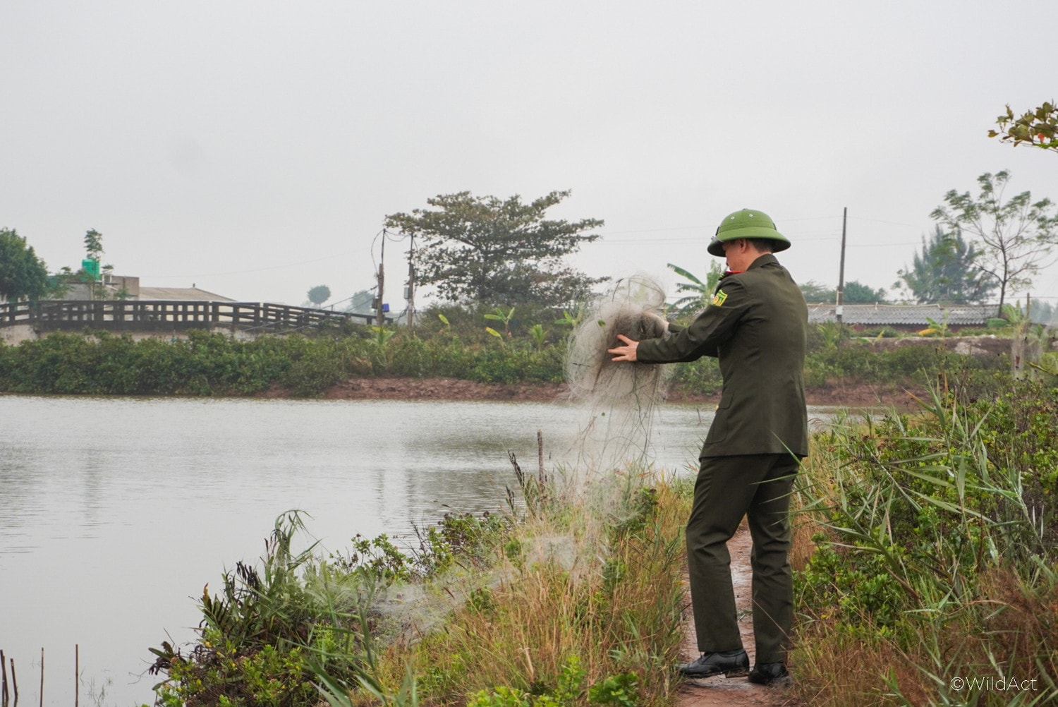 Ninh Bình: Tháo dỡ 2500m lưới bẫy, cứu hộ chim di cư -1