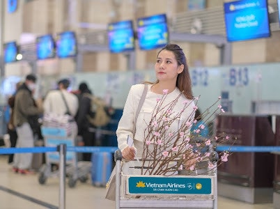 Vietnam Airlines vận chuyển cành đào, cành mai dịp Tết Giáp Thìn 2024 -0