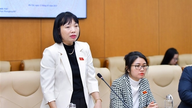 ĐBQH Nguyễn Thị Việt Nga (Hải Dương) phát biểu tại hội thảo sáng 12.1