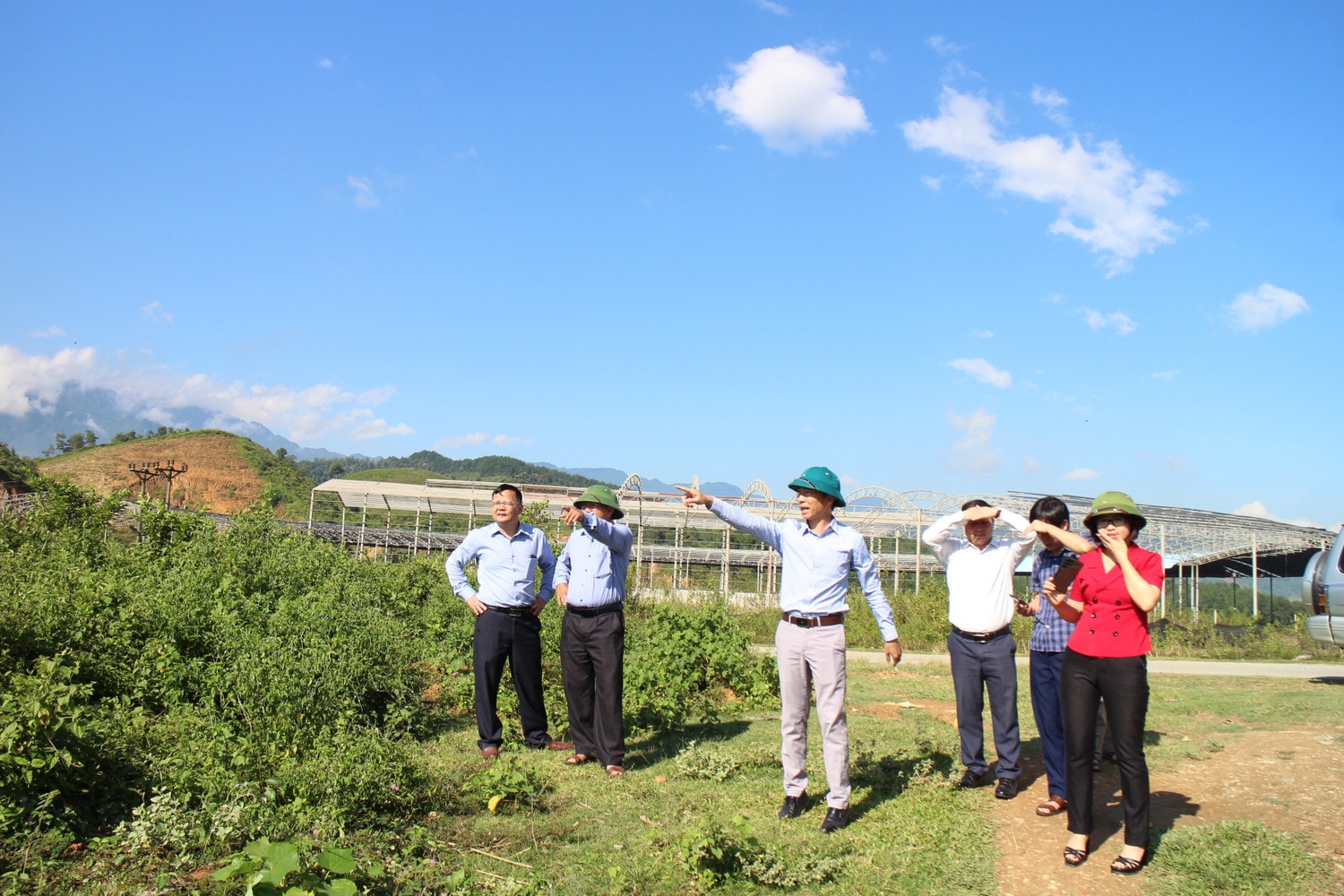 Đoàn giám sát Thường trực HĐND tỉnh Lai Châu khảo sát thực địa diện tích giao cho Công ty cổ phần Minh Sơn trồng rừng tại huyện Tam Đường