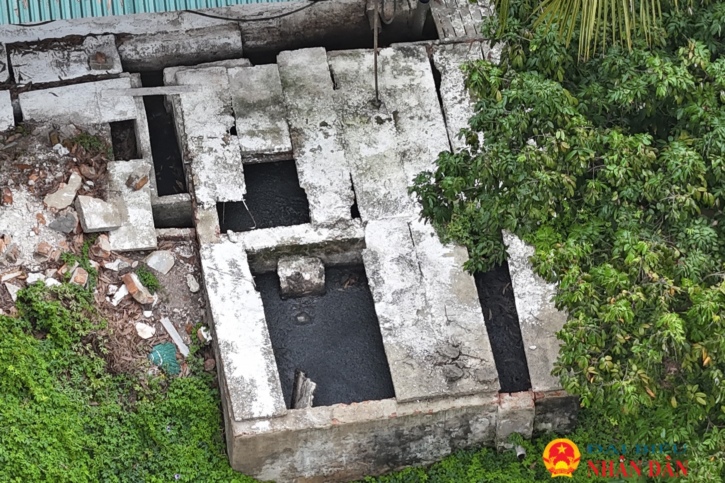 Trại lợn xả thải gây ô nhiễm môi trường “tra tấn” người dân suốt nhiều năm tại Sóc Sơn: Yêu cầu chủ trang trại ký cam kết, cấm nuôi lợn sau Tết Nguyên đán -0