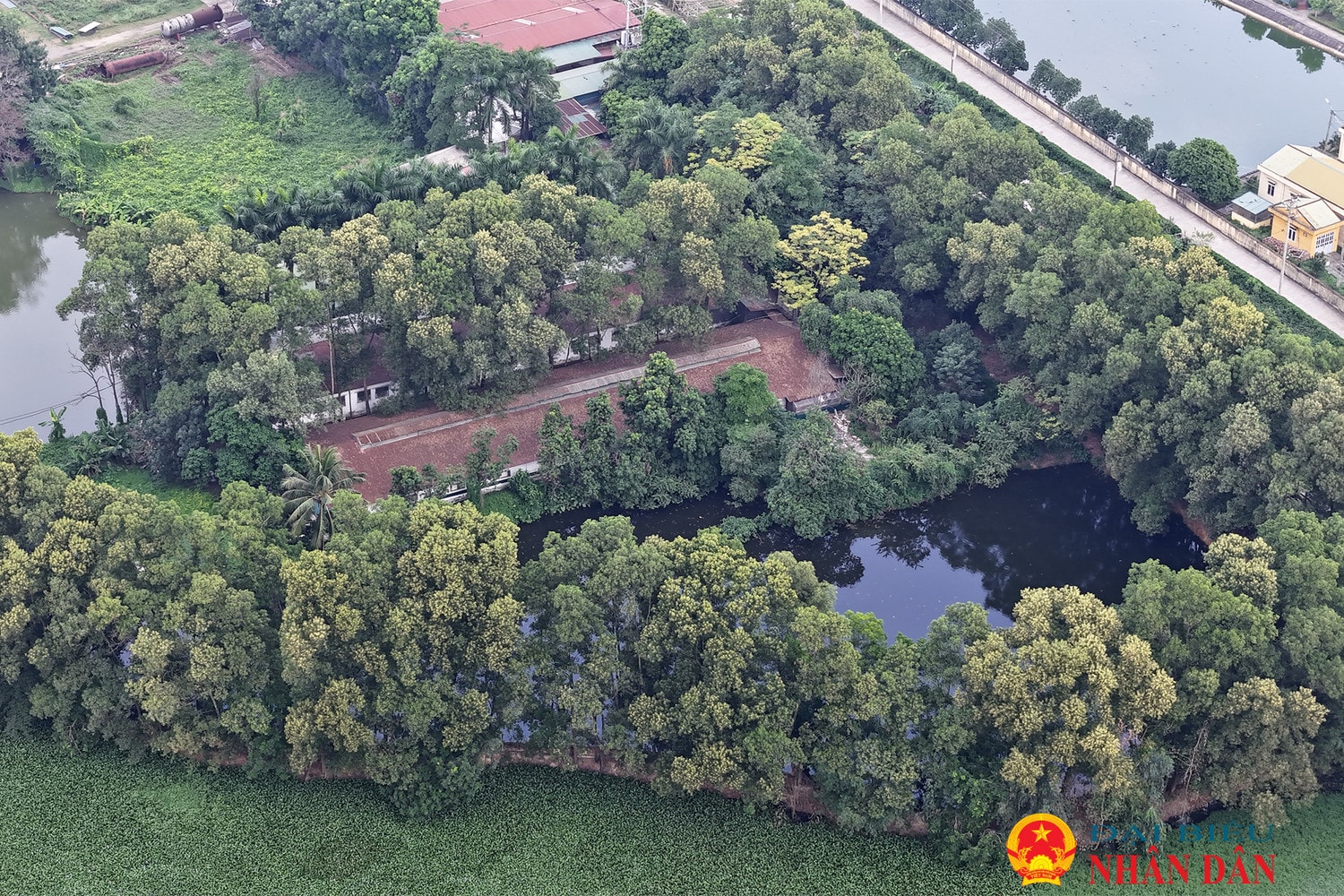 Trại lợn xả thải gây ô nhiễm môi trường “tra tấn” người dân suốt nhiều năm tại Sóc Sơn: Yêu cầu chủ trang trại ký cam kết, cấm nuôi lợn sau Tết Nguyên đán -0