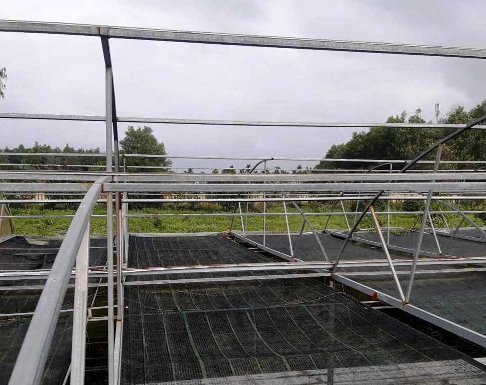 Sai phạm tại Sở KH-CN Quảng Ngãi: Khởi tố vụ án hình sự -0
