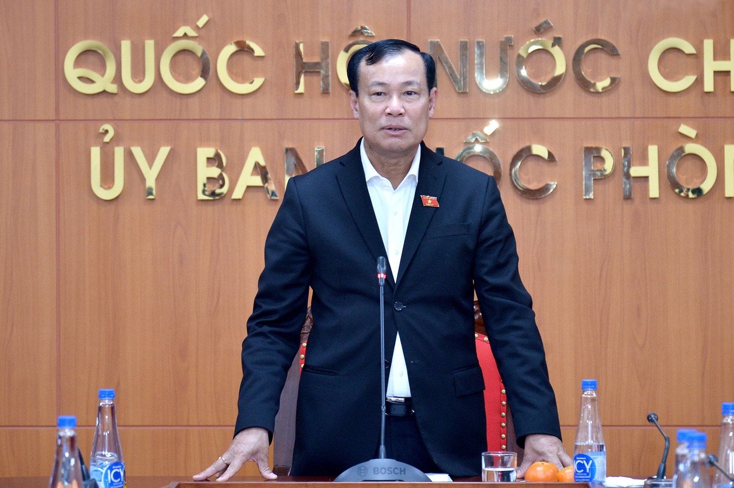 Chủ nhiệm Ủy ban Quốc phòng và An ninh, Trung tướng Lê Tấn Tới phát biểu