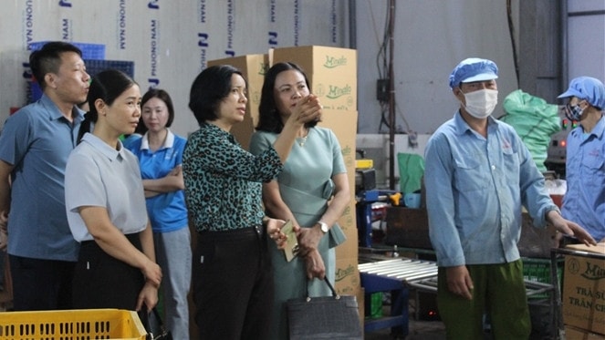 Ban Kinh tế - Ngân sách HĐND tỉnh Hải Dương khảo sát một số cơ sở sản xuất sản phẩm OCOP tại huyện Kim Thành và TP. Hải Dương - ẢNH LÊ TUYẾT