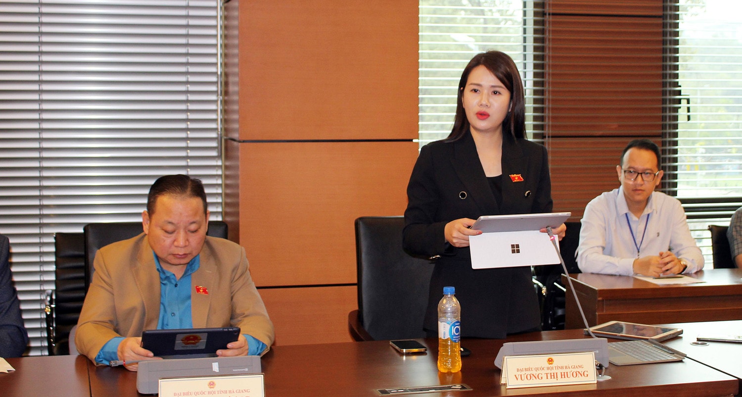 Đại biểu Quốc hội Vương Thị Hương (Hà Giang) phát biểu Trung ương phân bổ tổng kinh phí từng chương trình, HĐND các cấp phân bổ chi tiết đến “Dự án” và “Nội dung thành phần” -0