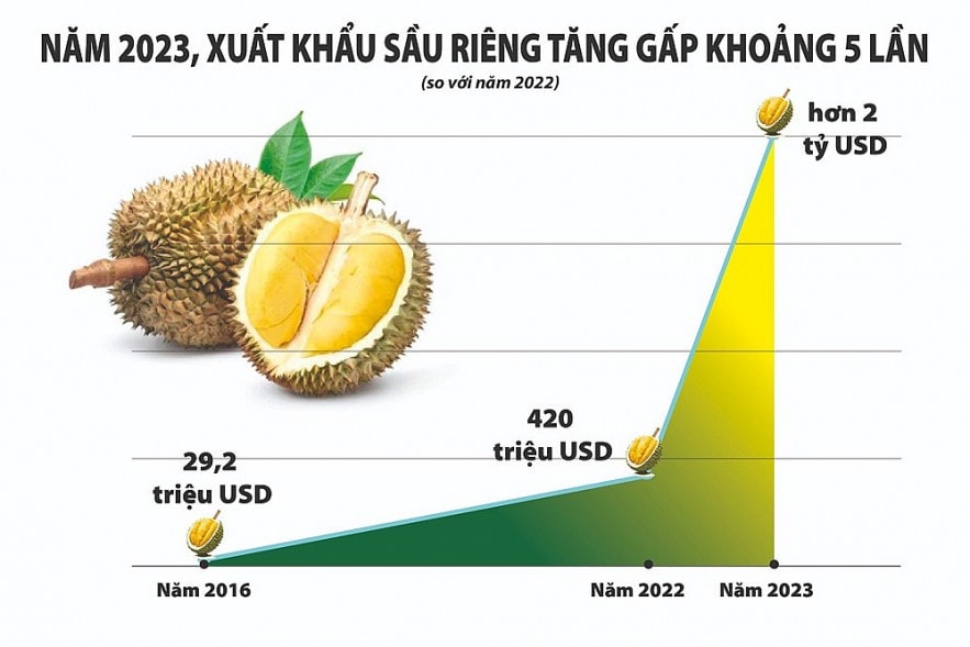 “Mở đường” để xuất khẩu rau quả cán mốc 10 tỷ USD ảnh 1