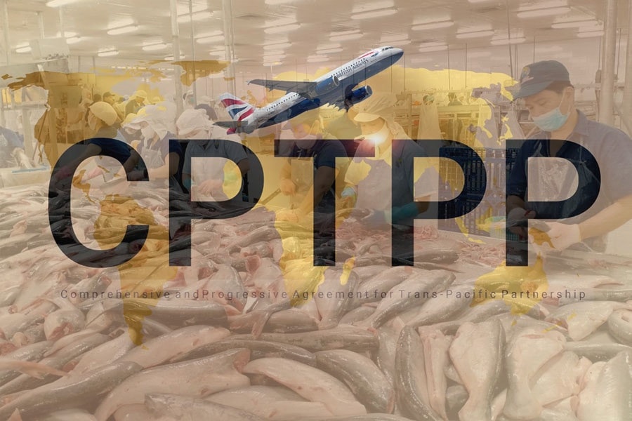 Sau 5 năm, tỷ trọng thị trường CPTPP tăng từ 25% lên 27% 